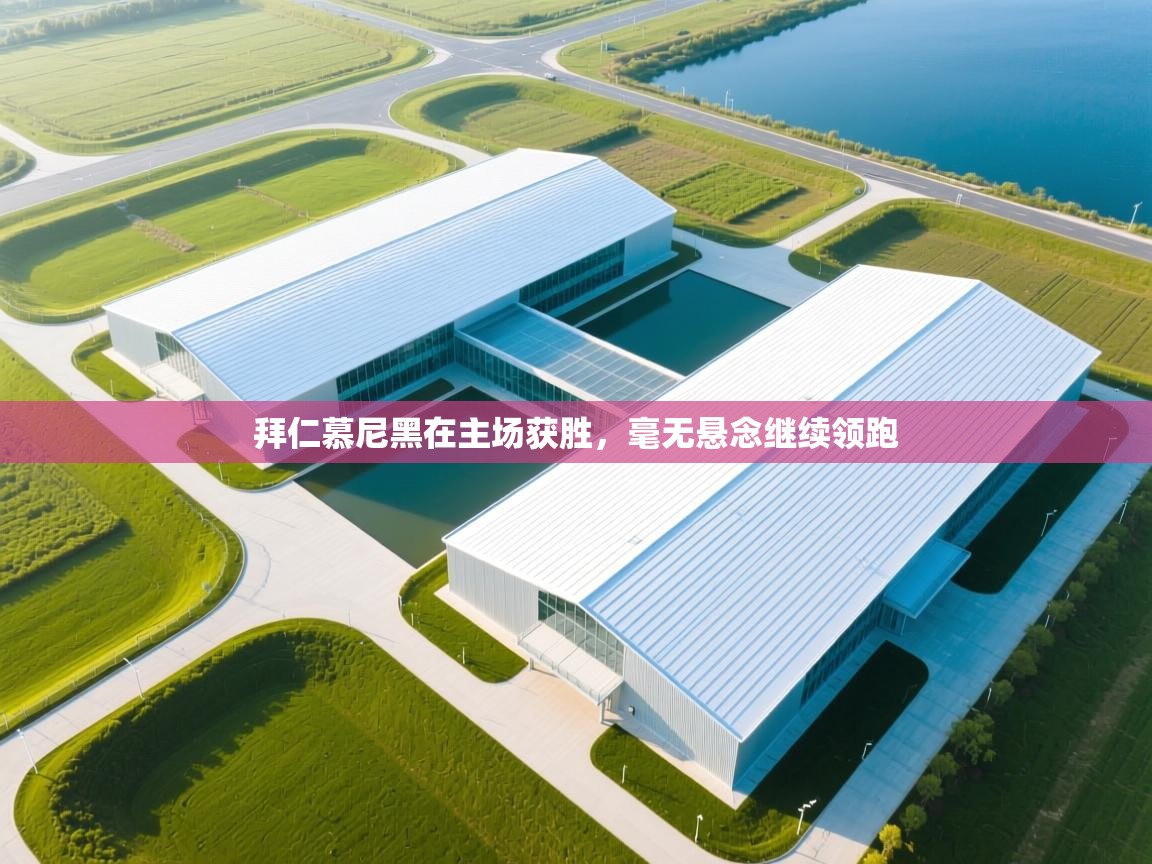 拜仁慕尼黑在主场获胜,毫无悬念继续领跑 第2张